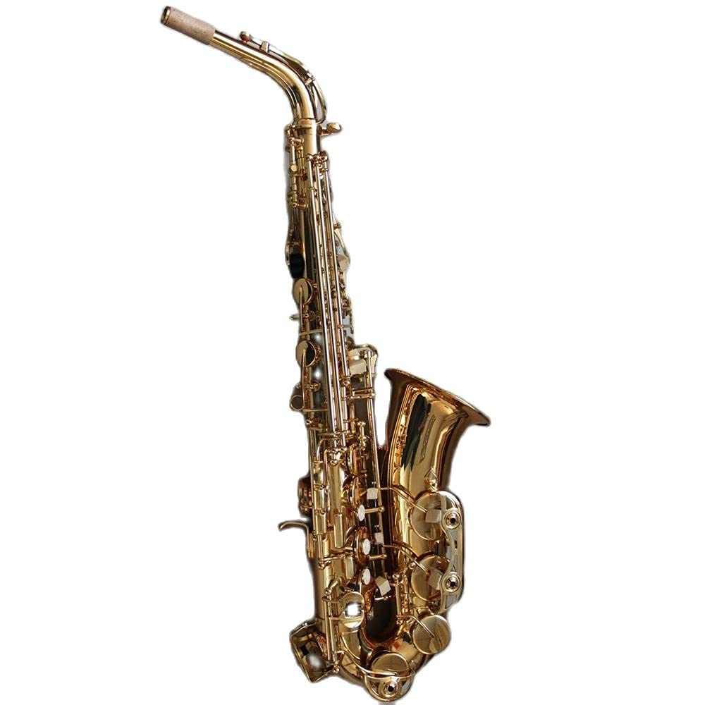 EB Alto Saxophone Set C434