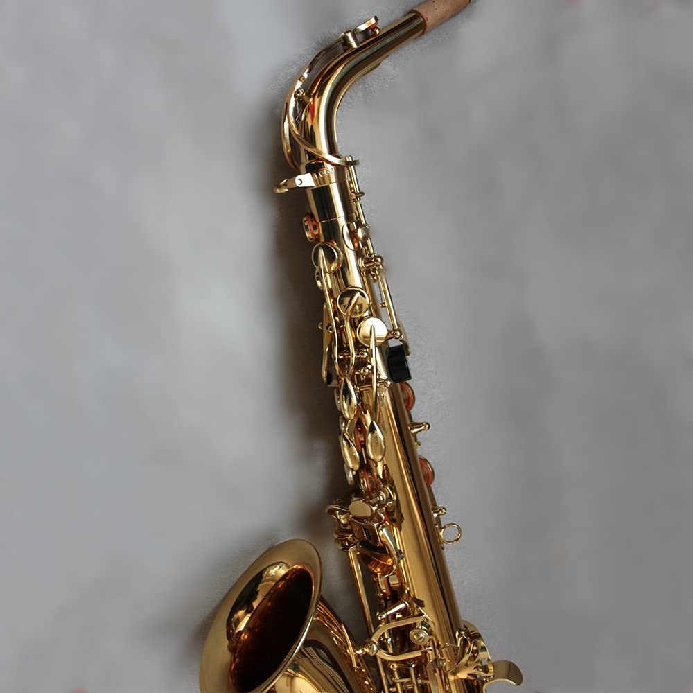EB Alto Saxophone Set C434