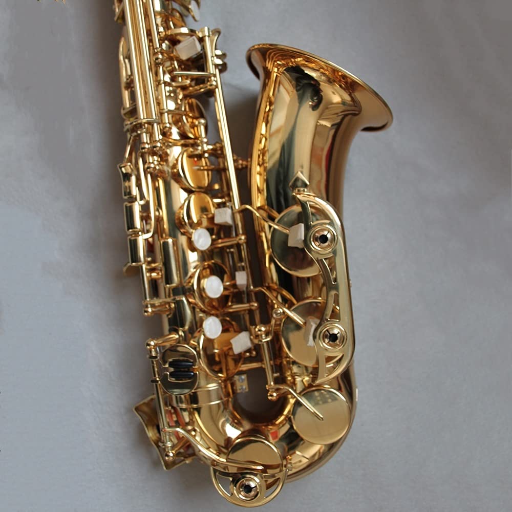 EB Alto Saxophone Set C434