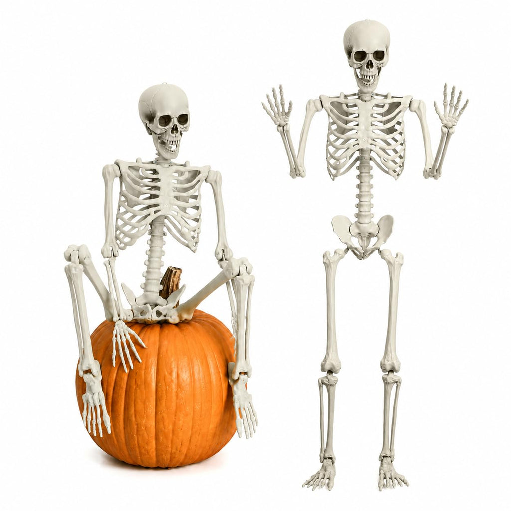 Life Size Poseable Skeleton with Movable Joints D182041