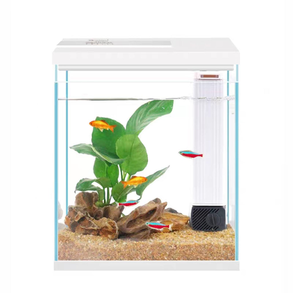 2 Gallon Glass Aquarium Starter Kit with Filter and Light U759189