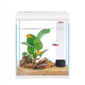 2 Gallon Glass Aquarium Starter Kit with Filter and Light U759189