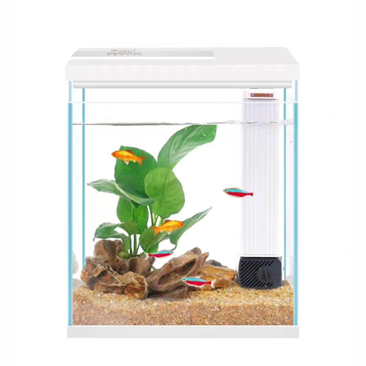 2 Gallon Glass Aquarium Starter Kit with Filter and Light U759189