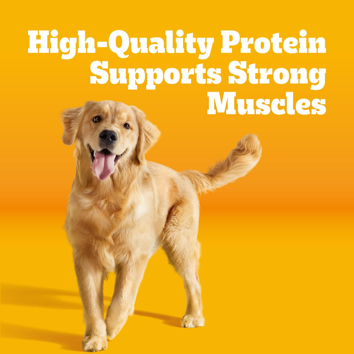 Adult Complete Nutrition Dry Dog Food Steak & Vegetable 18 lb R61793
