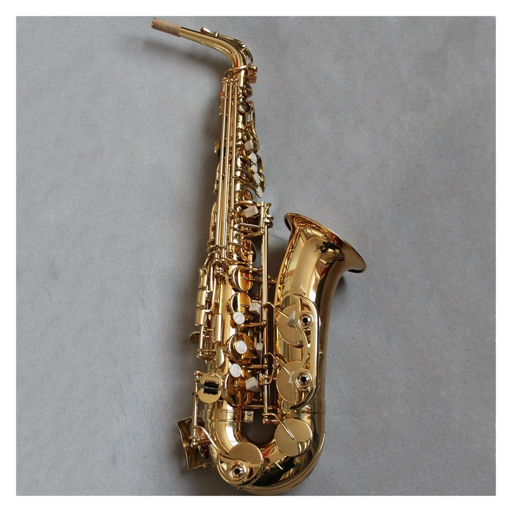EB Alto Saxophone Set C434