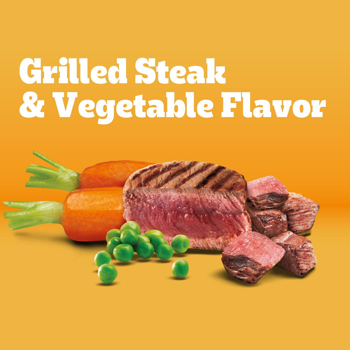 Adult Complete Nutrition Dry Dog Food Steak & Vegetable 18 lb R61793