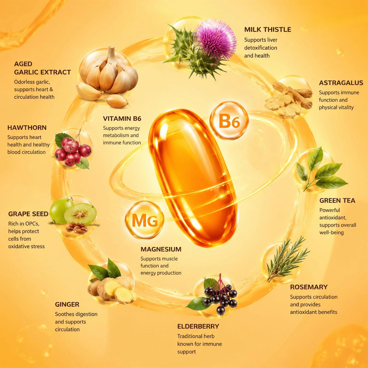 1200mg Odorless Aged Garlic Extract Softgels with CoQ10 D898878