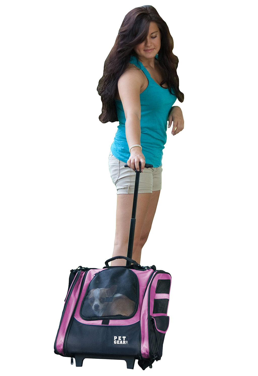 Large Pink Pet Backpack D1993
