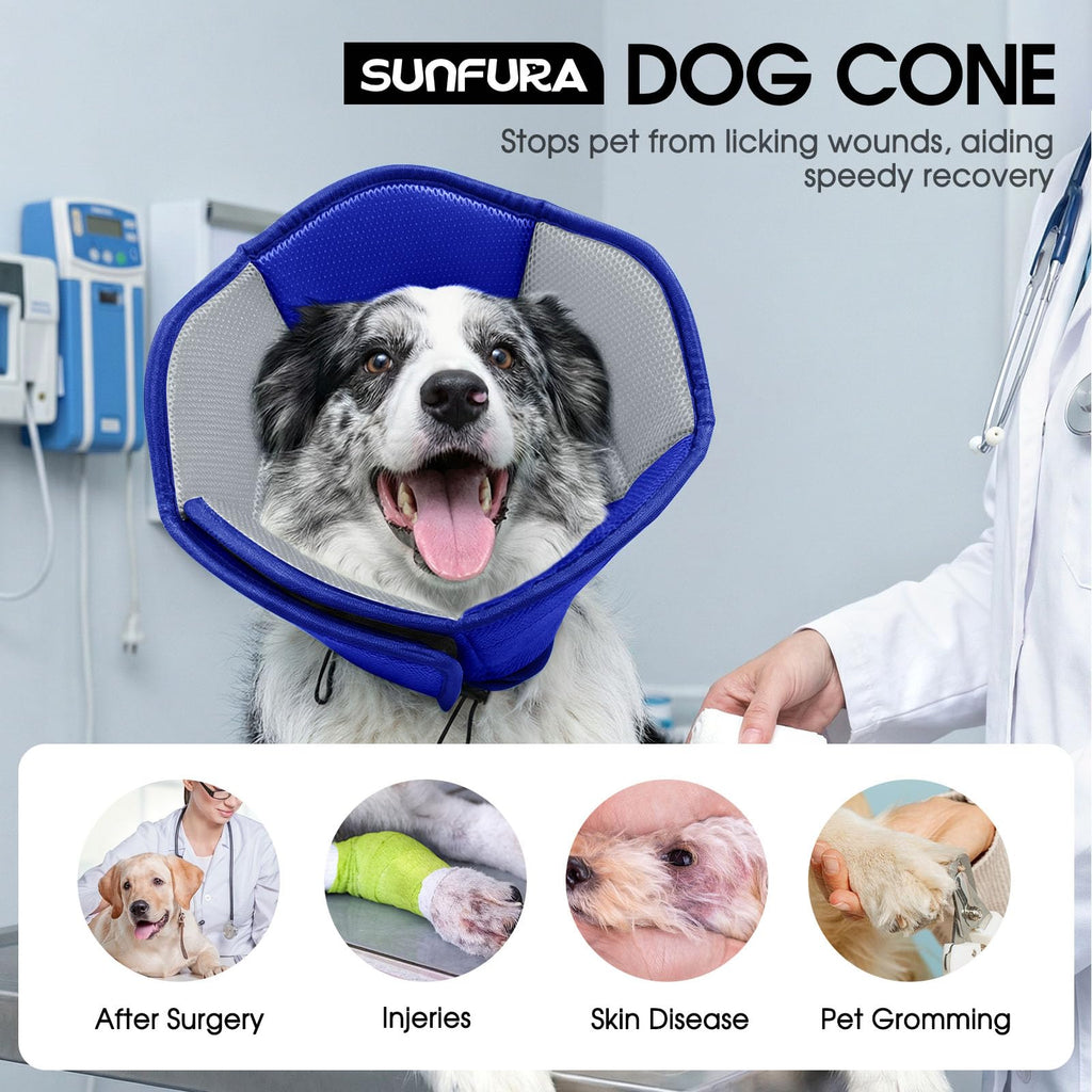 Soft Cone for Dogs D829073