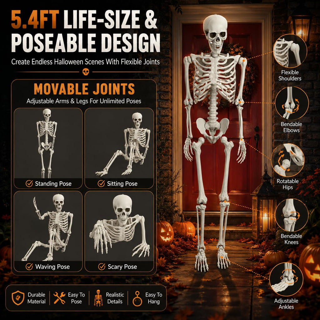 Life Size Poseable Skeleton with Movable Joints D182041