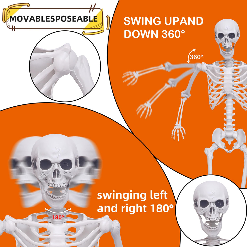 5.4Ft Posable Life Size Skeletons with Movable Joints T533613