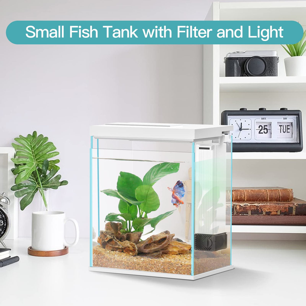 2 Gallon Glass Aquarium Starter Kit with Filter and Light U759189