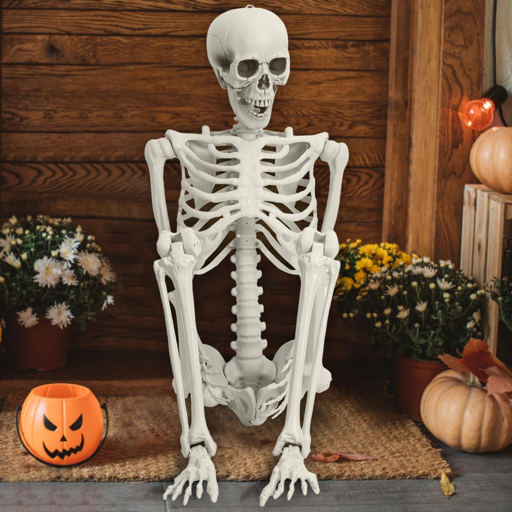 Life Size Poseable Skeleton with Movable Joints D182041