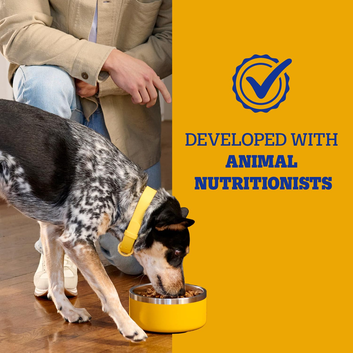 Adult Complete Nutrition Dry Dog Food Steak & Vegetable 18 lb R61793
