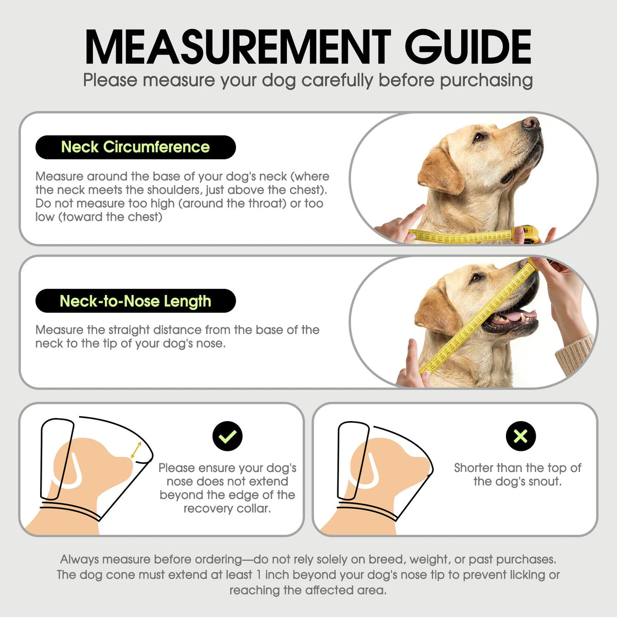 Soft Cone for Dogs D829073
