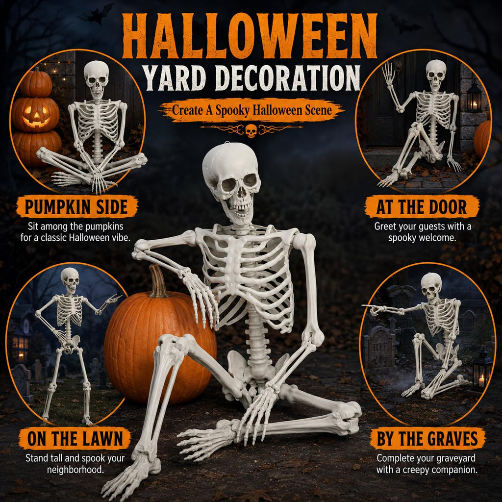 Life Size Poseable Skeleton with Movable Joints D182041