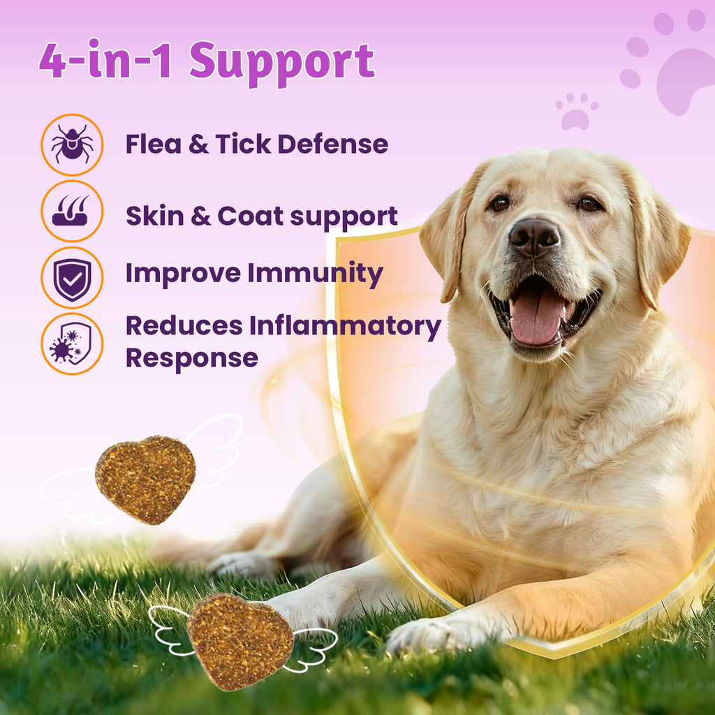 Dog Flea and Tick Treatment Soft Chews D4986