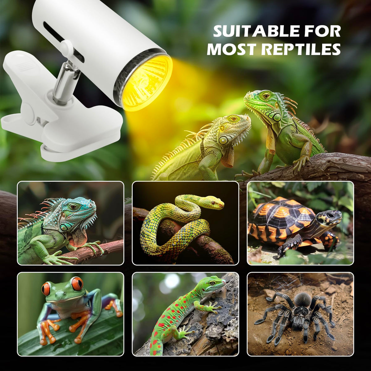 12x7x9 inch Reptile Terrarium with Heat Lamp M78634