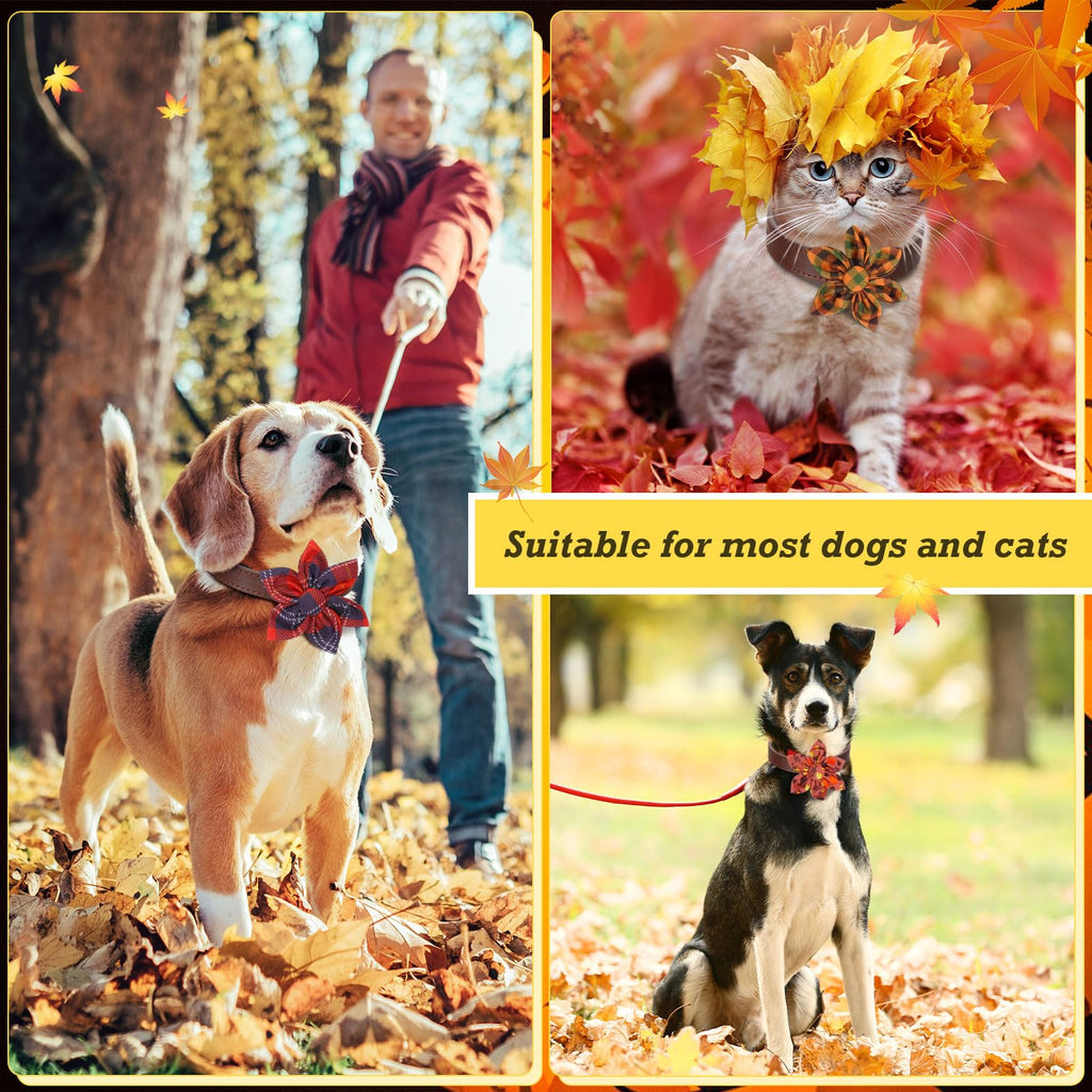60 Pcs Fall Dog Collar Y28096