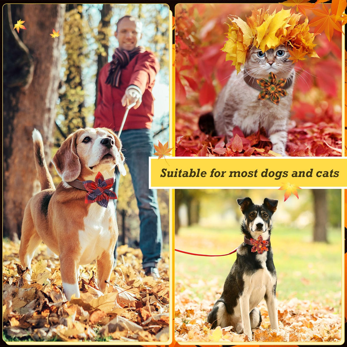 60 Pcs Fall Dog Collar Y28096
