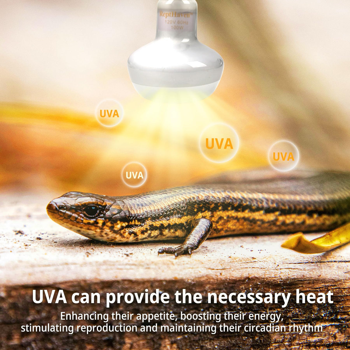 2-in-1 Deep Dome Reptile Light Fixture Kit with 100W UVA Basking Bulb & 100W Infrared Heat Lamp Q509762