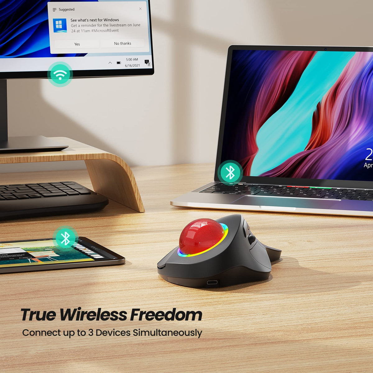 Wireless Ergonomic RGB Trackball Mouse F942552