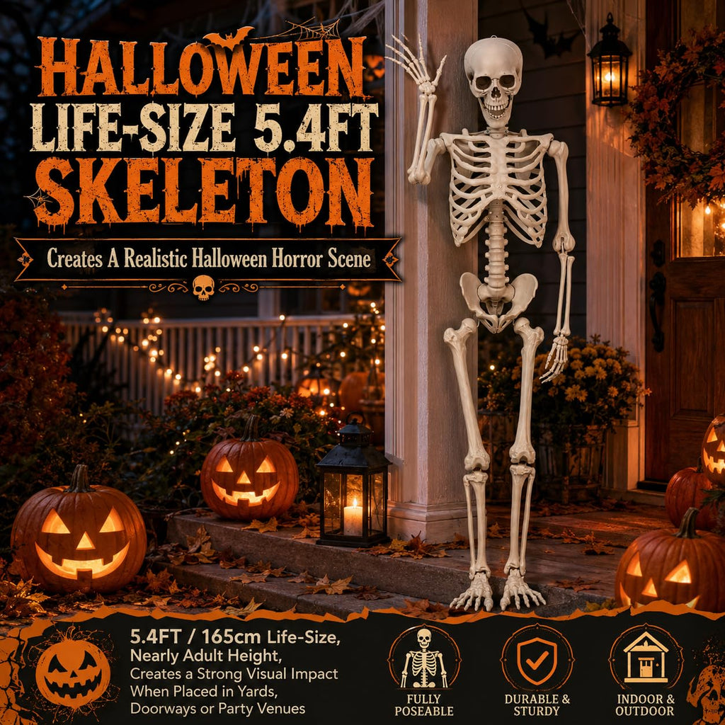 Life Size Poseable Skeleton with Movable Joints D182041