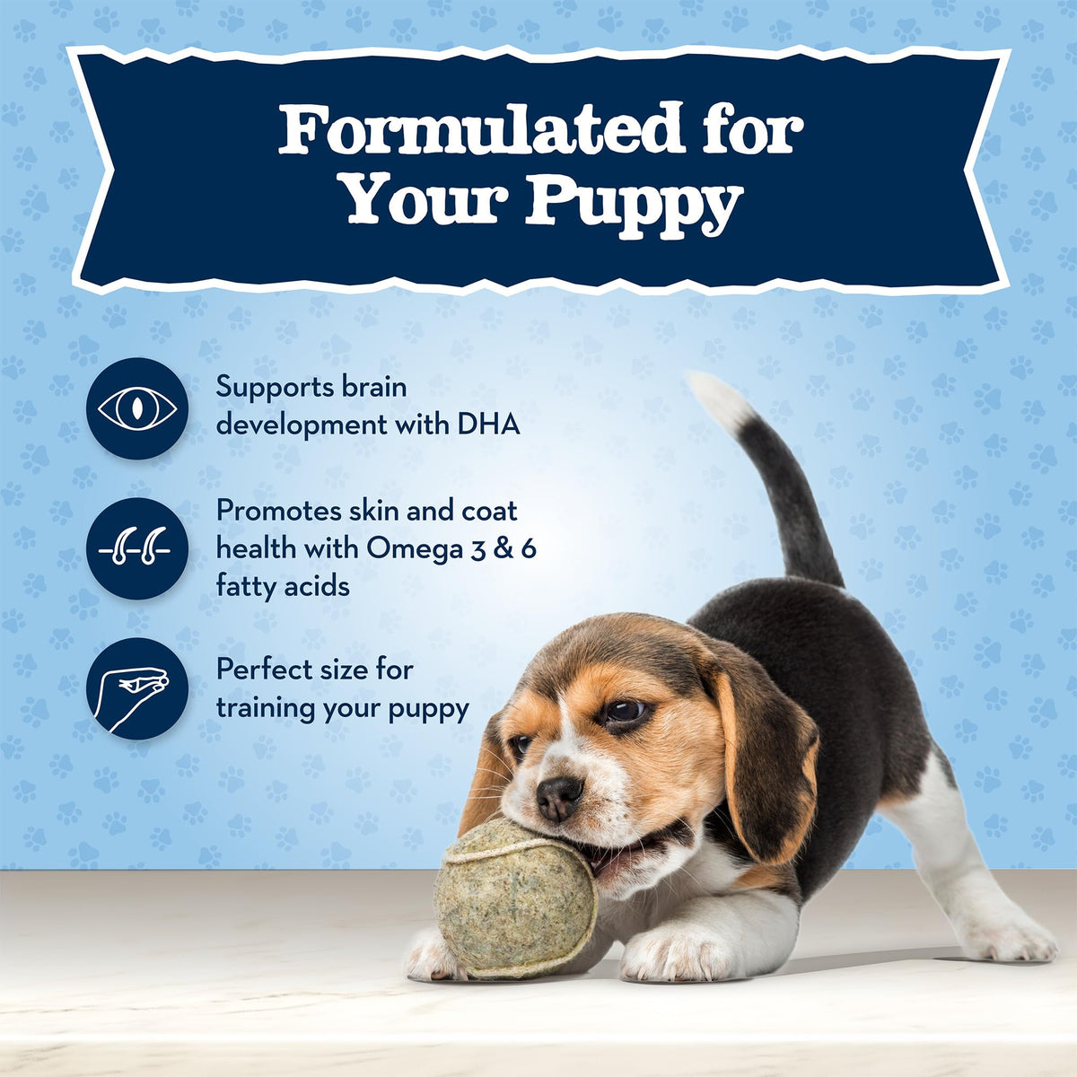 Chicken Puppy Training Treats, 4 oz C141