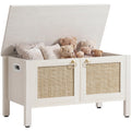 Rattan Storage Bench with 2 Safety Hinges R819781