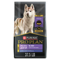 High Protein Small Bites Lamb & Rice Dog Food 37.5 Pound Y2850