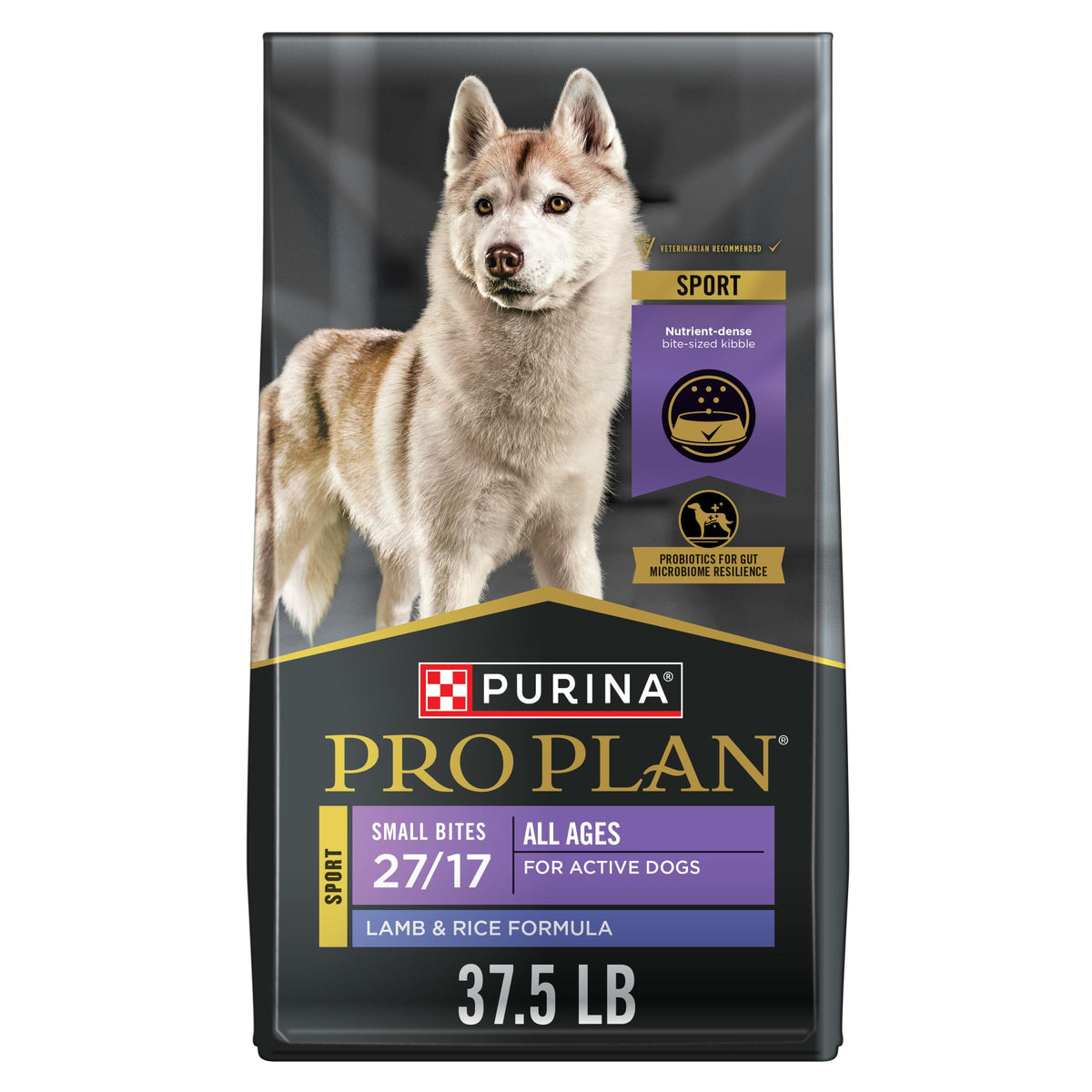 High Protein Small Bites Lamb & Rice Dog Food 37.5 Pound Y2850