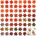 60 Pcs Fall Dog Collar Y28096