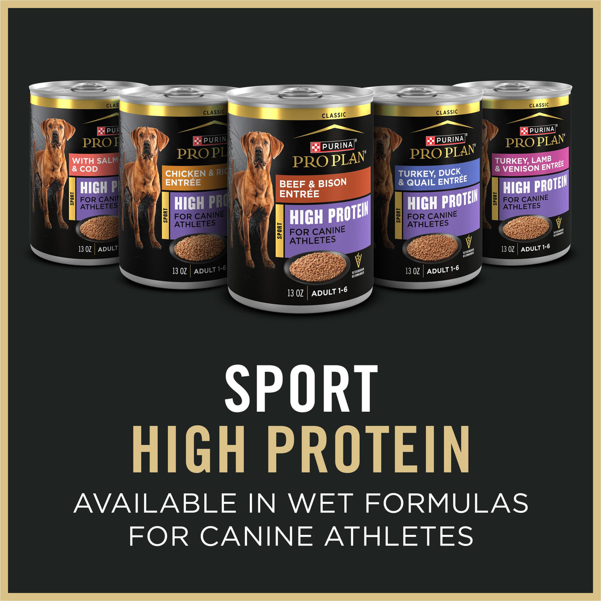 High Protein Small Bites Lamb & Rice Dog Food 37.5 Pound Y2850