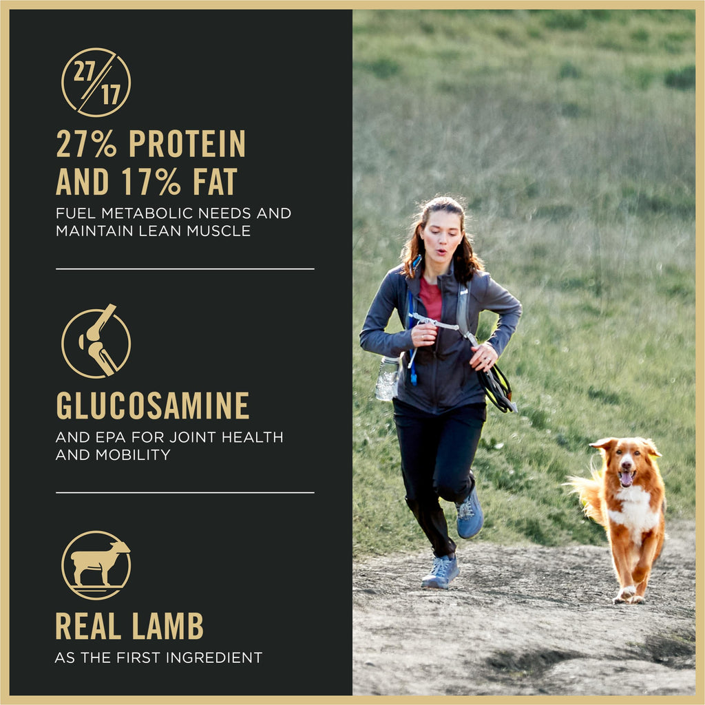 High Protein Small Bites Lamb & Rice Dog Food 37.5 Pound Y2850