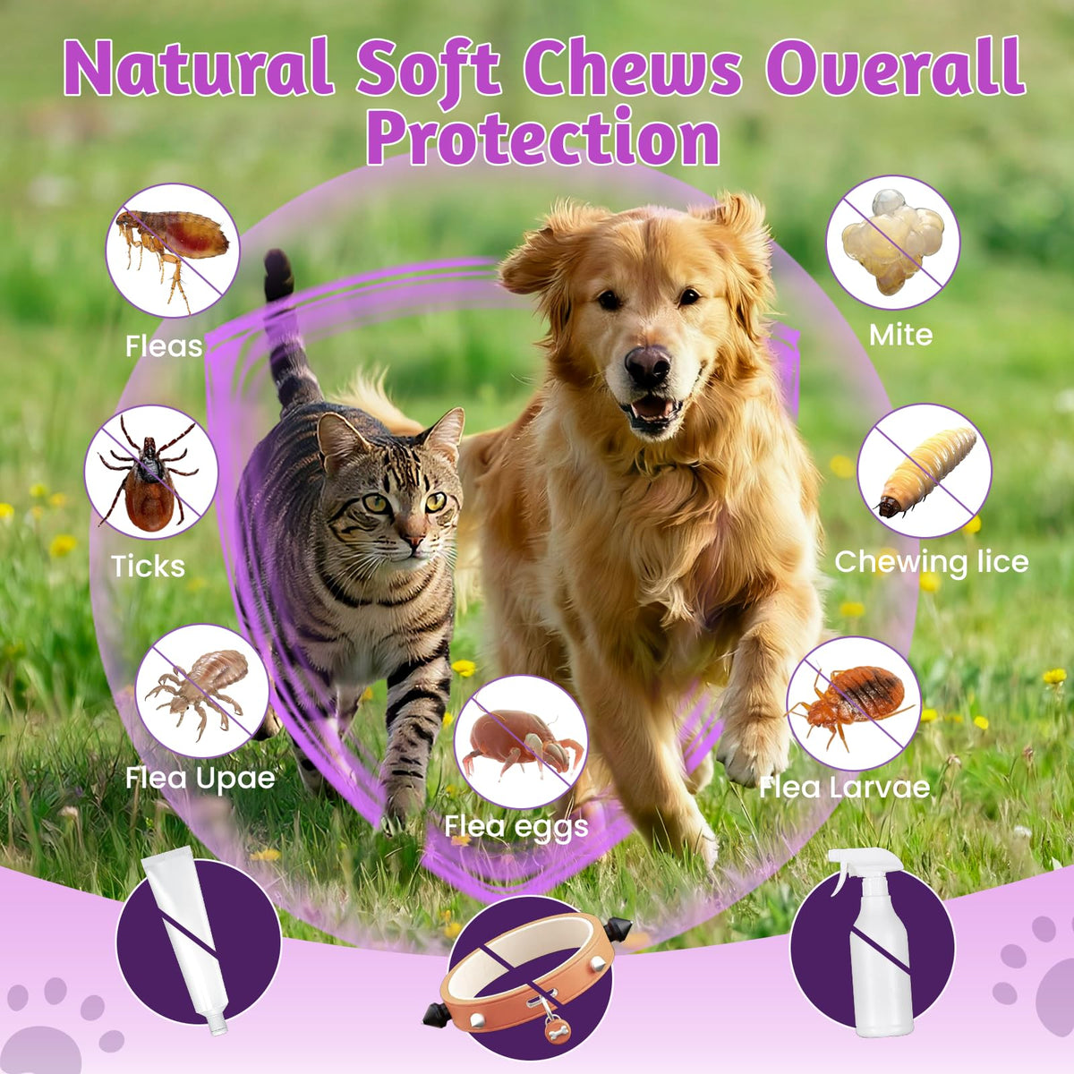 Dog Flea and Tick Treatment Soft Chews D4986