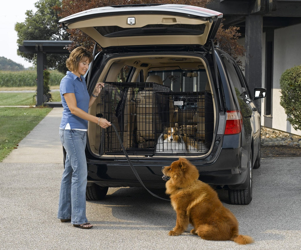 Double Door Folding Metal Dog Crate D41075