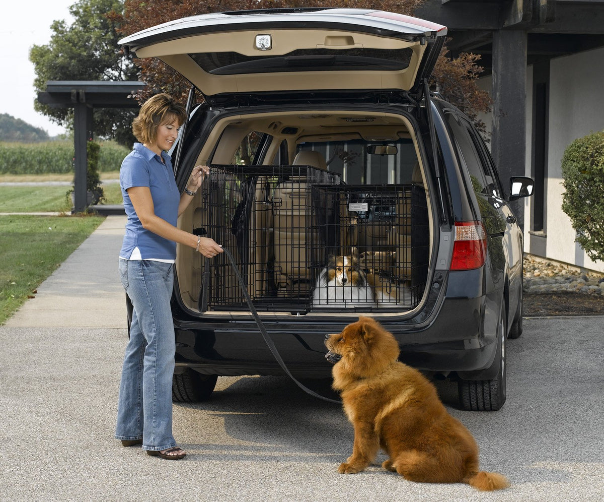 Double Door Folding Metal Dog Crate D41075