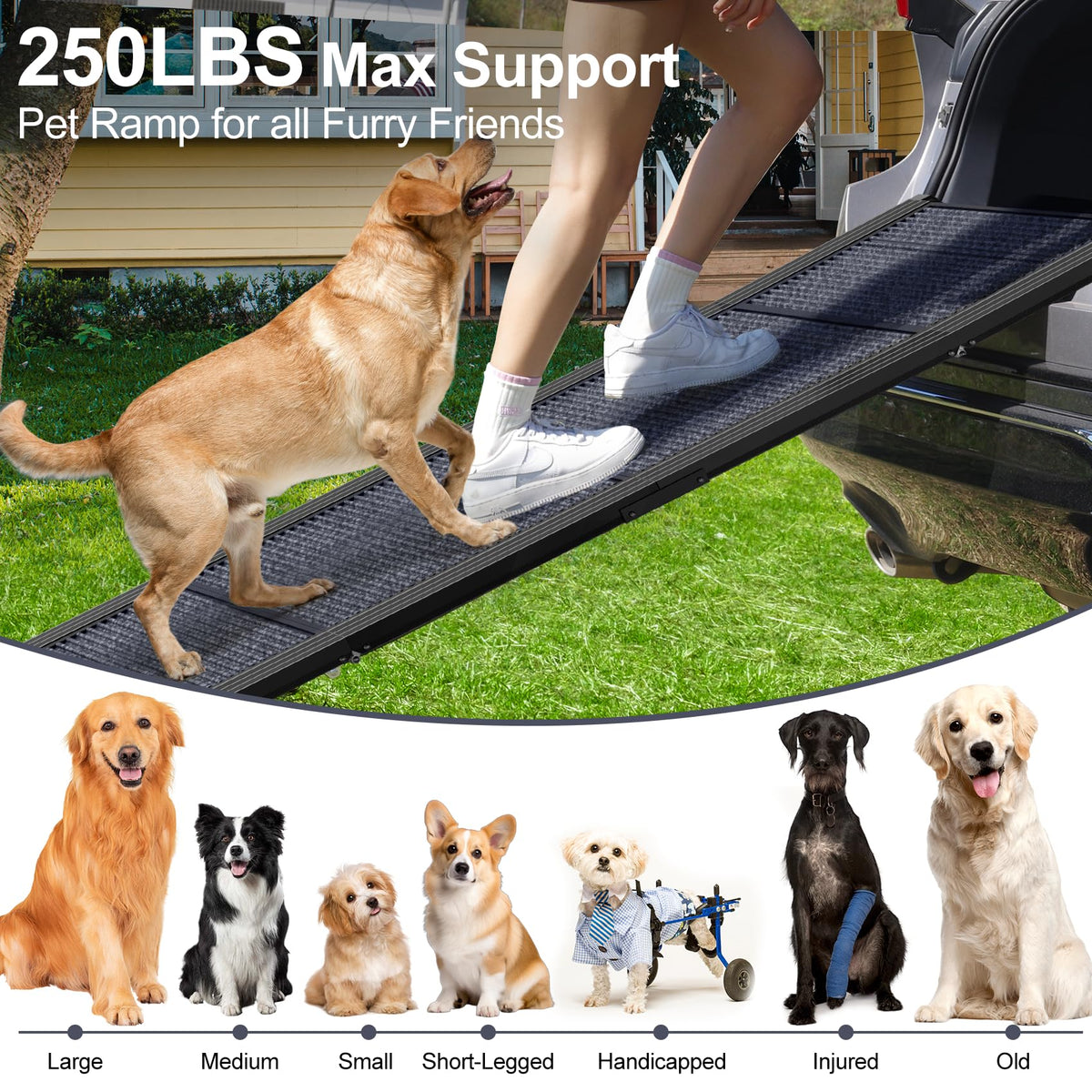 63" L × 17" W Lightweight Foldable Dog Ramp F951