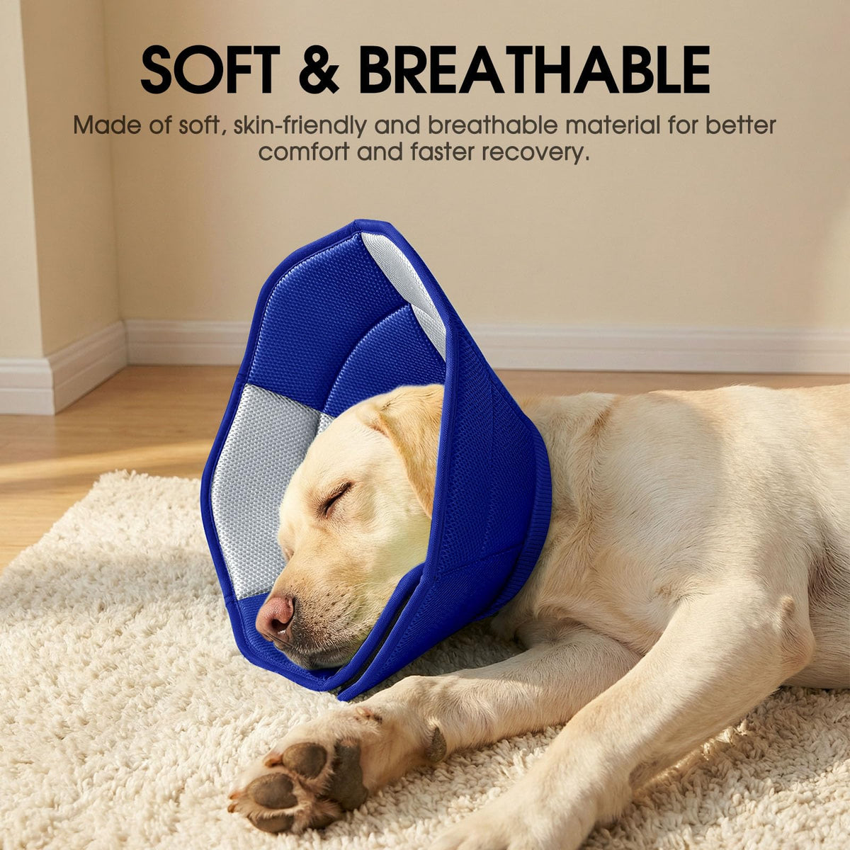 Soft Cone for Dogs D829073