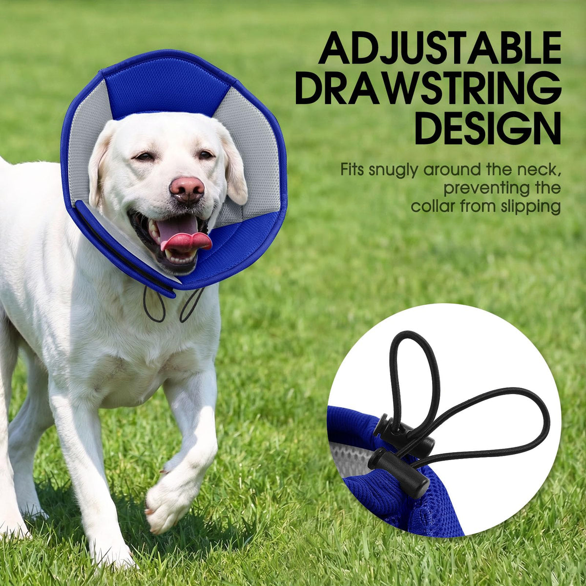 Soft Cone for Dogs D829073