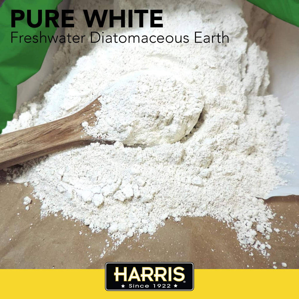 Diatomaceous Earth Food Grade Half Pound B446176